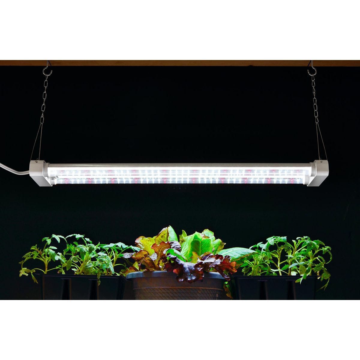Lámpara LED de espectro completo para plantas de 19W y 2 pies, conectable para 2 luces | 59250